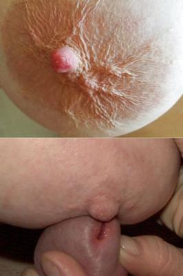 Hommagen und Collagen für Monique