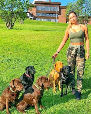 Diosas superiores suecas alfa fitness 2