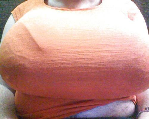 Webcam-Galerie