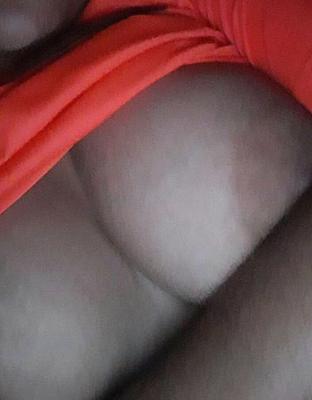 Amadora peituda