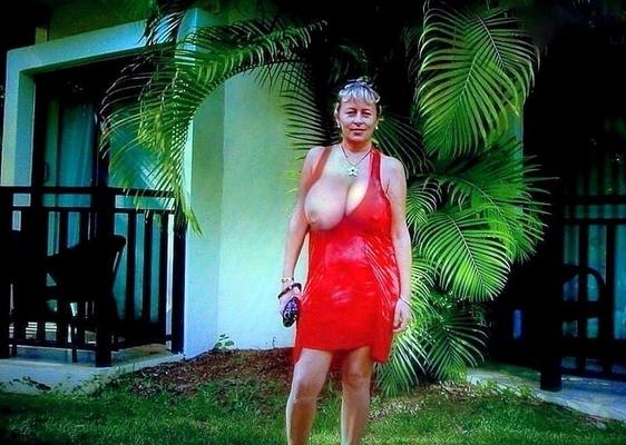 公共の場でシジュウカラを1つ