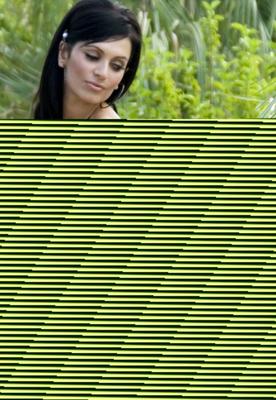 Denise Milani - Purple Passion