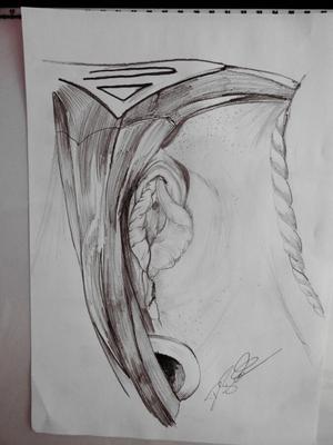 Vieilles peintures de moi