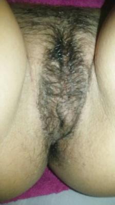 Chatte de femme grecque