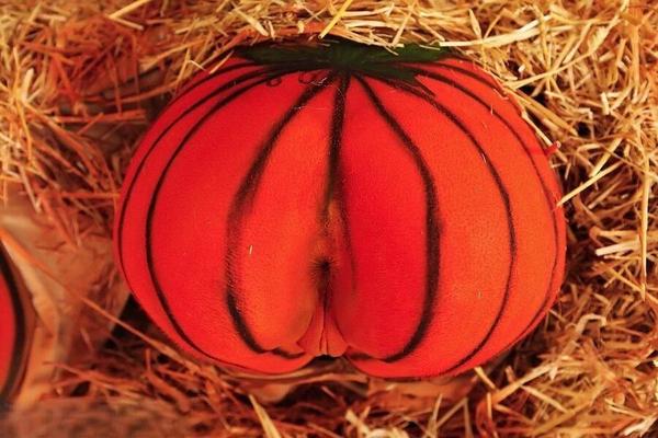 HALLOWEEN WEB
