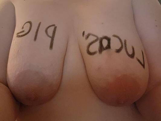 Mon cochon est meilleur que le vôtre Kik: PiggypervSub