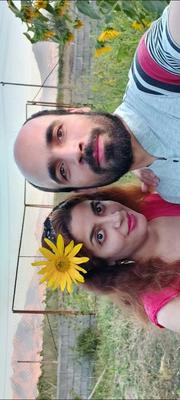 Iranian Persian Crimes Feel Sweet