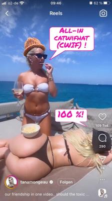 Instagram WhoresとSlutsはMemecoin Catwifhat Cwifを宣伝しています