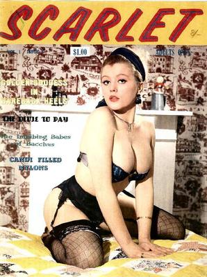 Die Sammlung von Baregirl -Magazinen eines Pervers