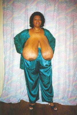 XX Cel Norma Stitz